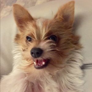 Meet your Posher, Dana